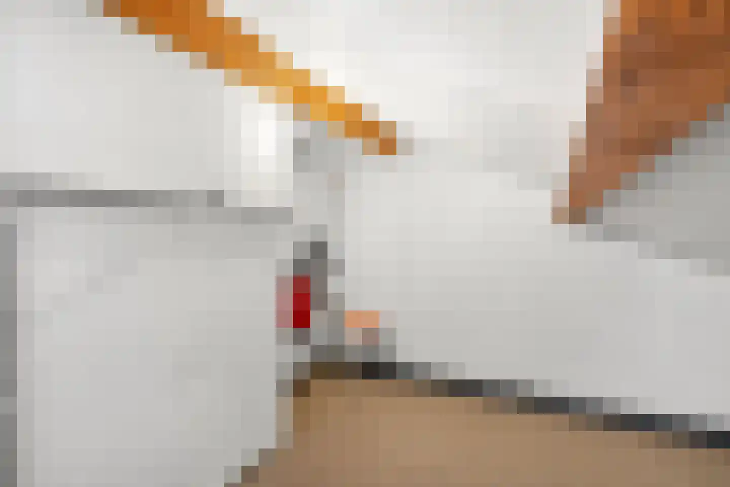 Oostinglaan 3 Wageningen thumbnail 64