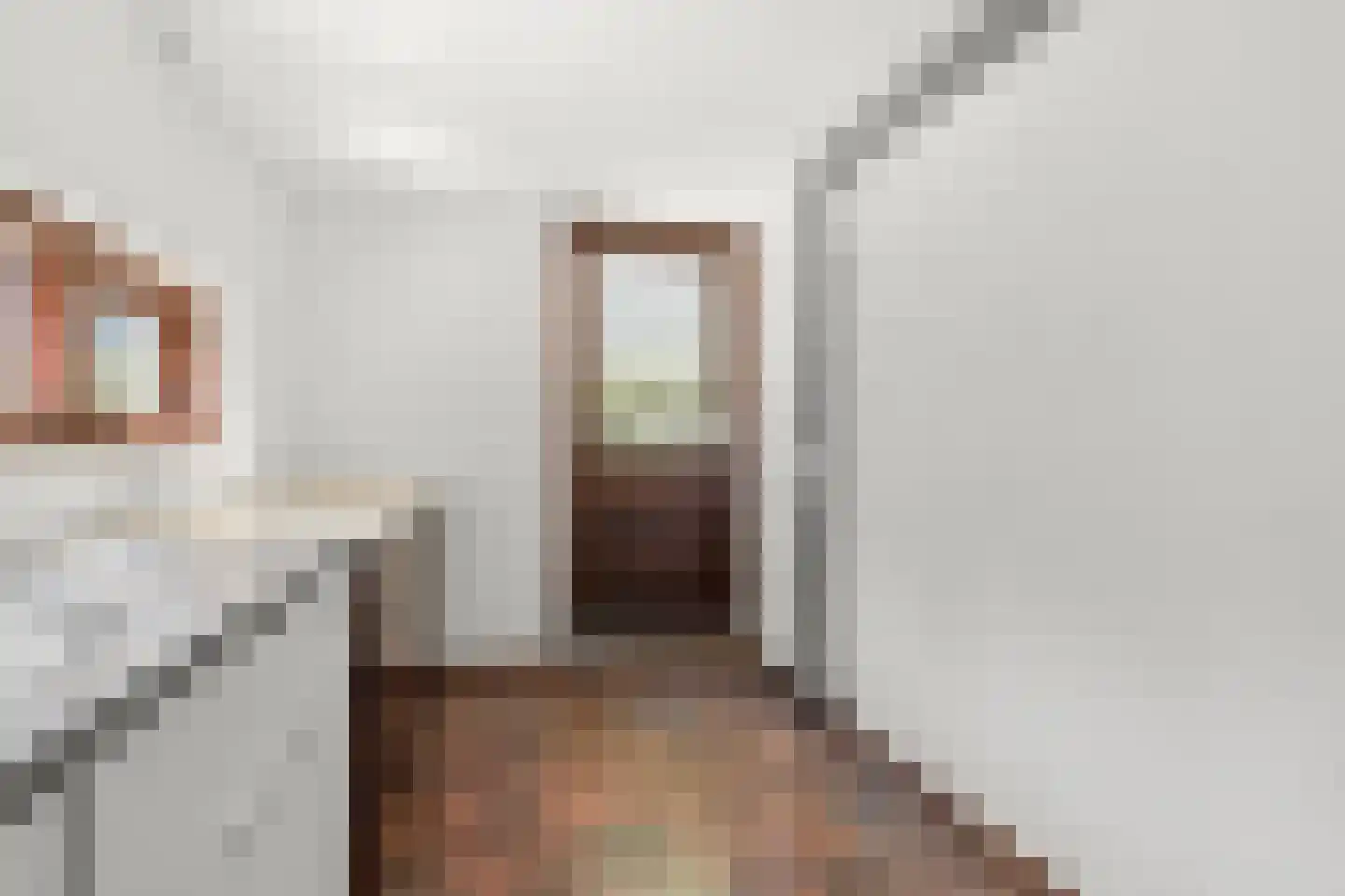 Oostinglaan 3 Wageningen thumbnail 67