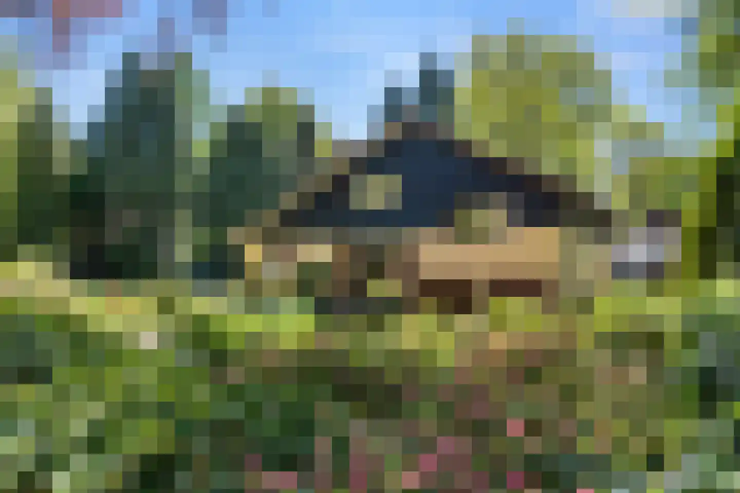 Oostinglaan 3 Wageningen thumbnail 7