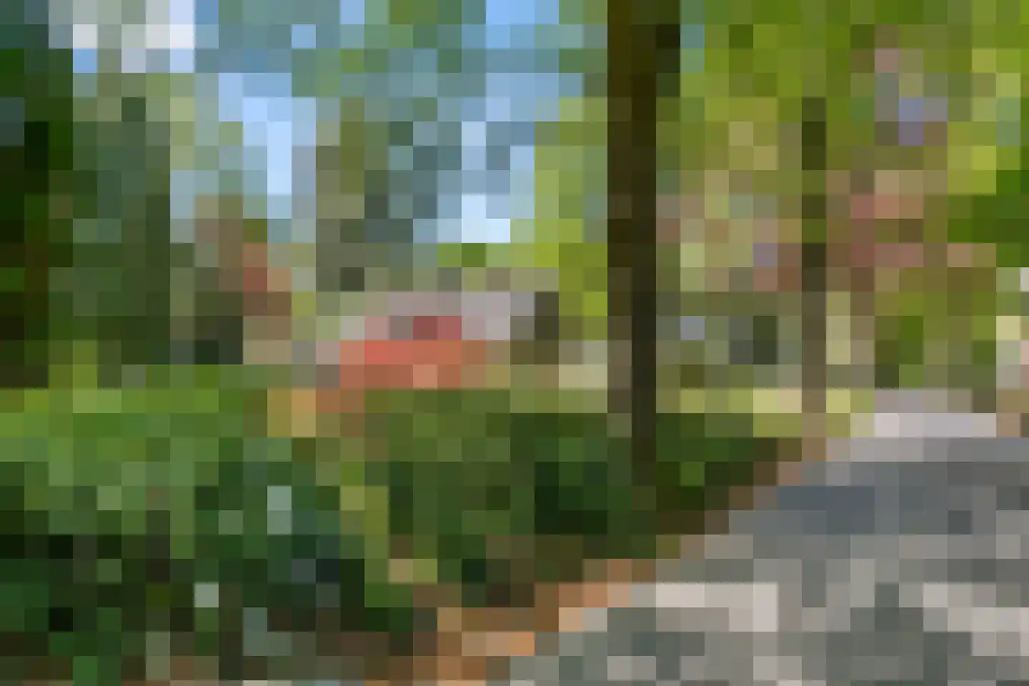 Oostinglaan 3 Wageningen thumbnail 9
