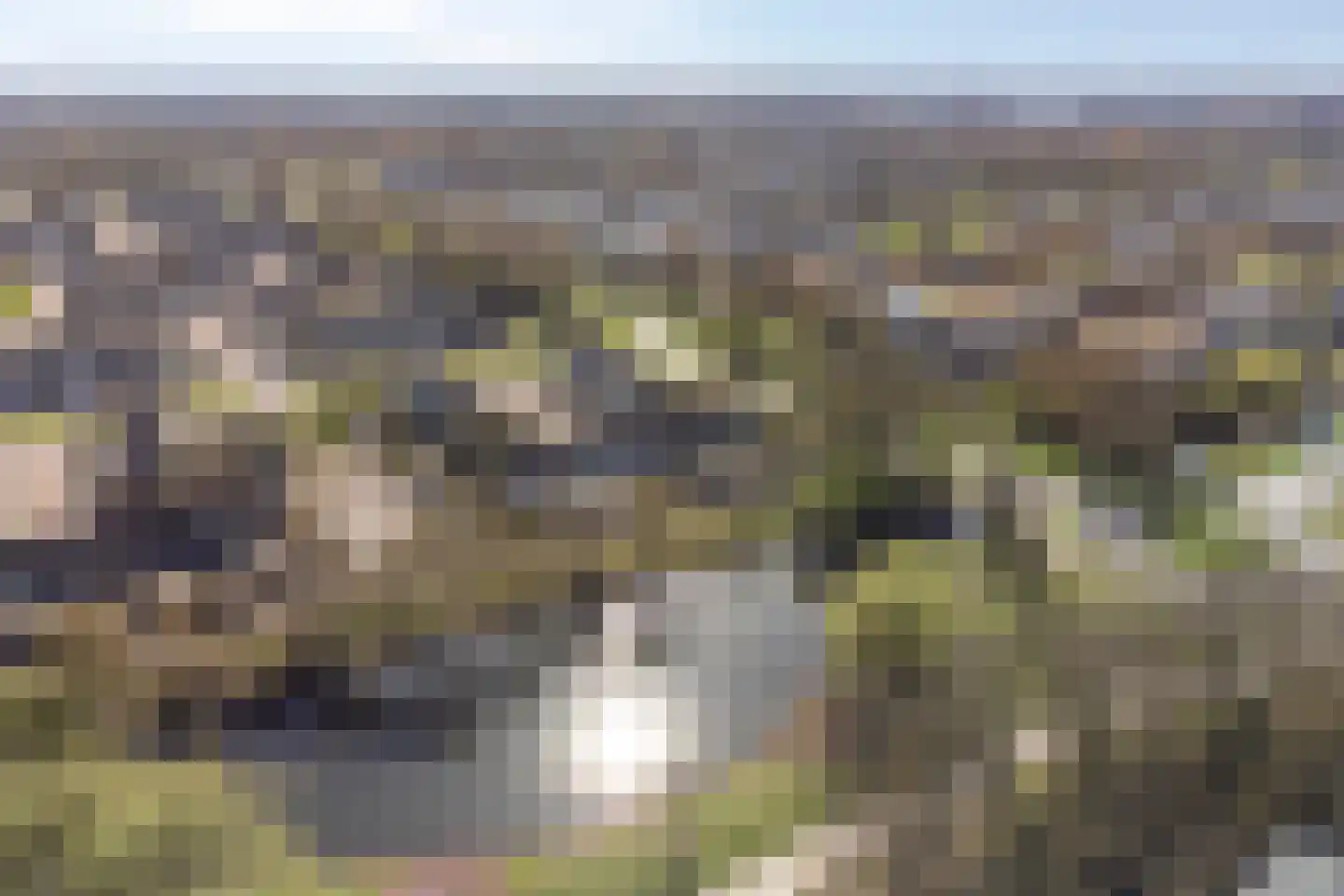 Oostkaap 6 Lelystad thumbnail 29