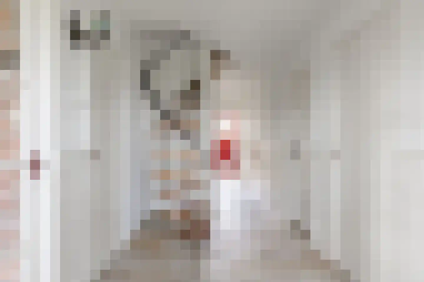 Oostkade 5 Waarland thumbnail 12