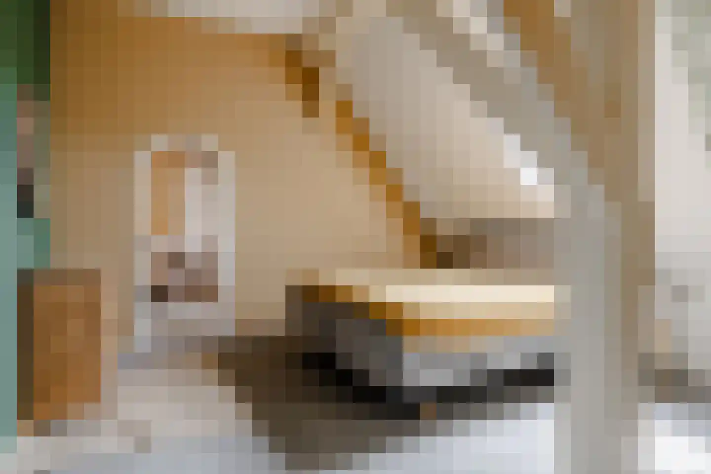 Oostkade 5 Waarland thumbnail 15