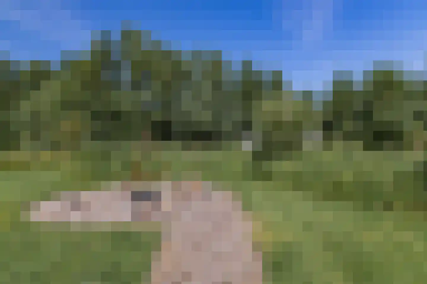Oostkade 5 Waarland thumbnail 22