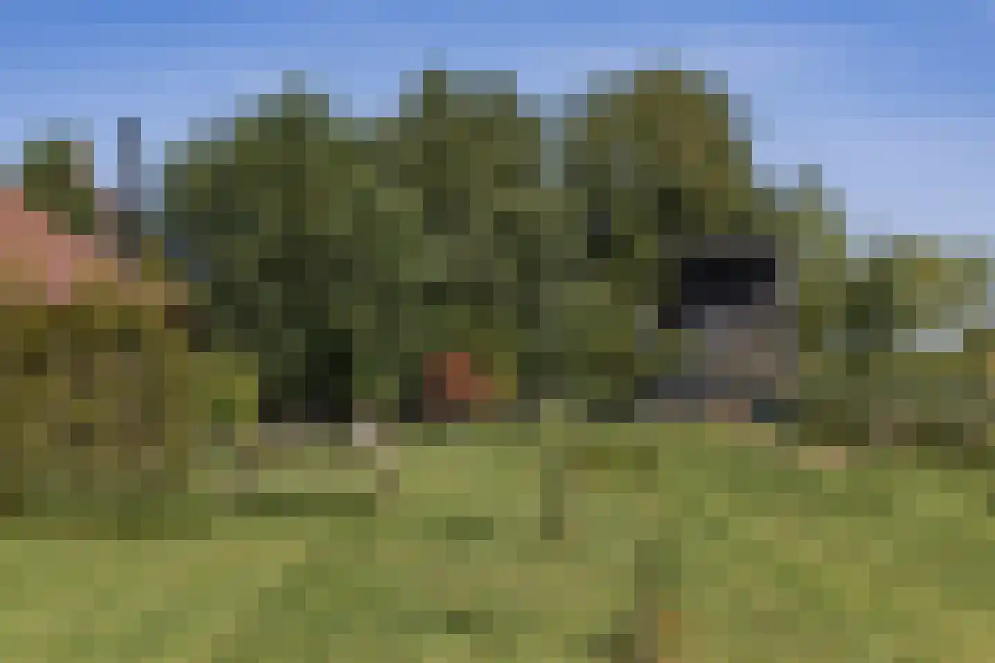 Oostkade 5 Waarland thumbnail 23