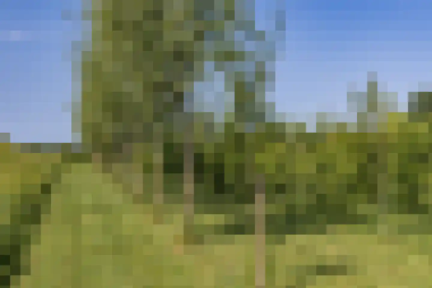 Oostkade 5 Waarland thumbnail 24