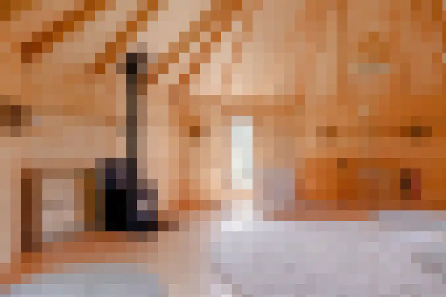 Oostkade 5 Waarland thumbnail 26