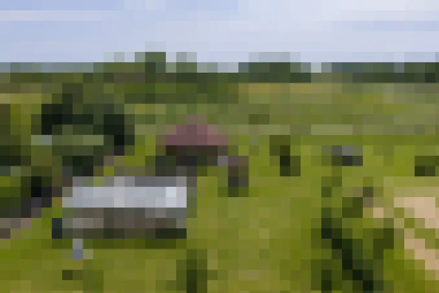 Oostkade 5 Waarland thumbnail 27