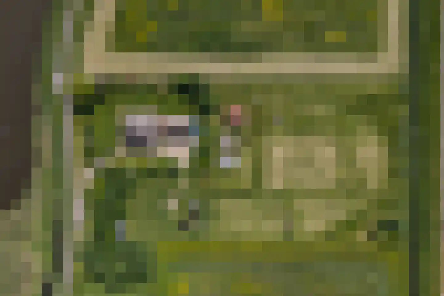 Oostkade 5 Waarland thumbnail 29