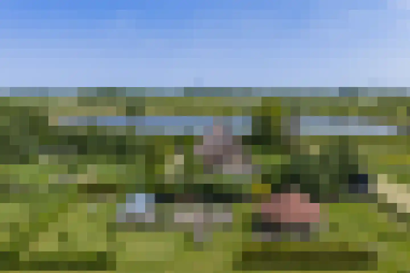 Oostkade 5 Waarland thumbnail 30