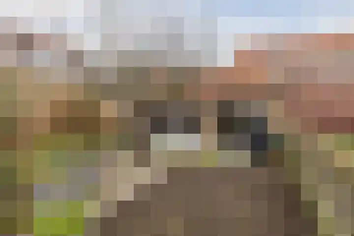 Oostkade 54 Hellevoetsluis thumbnail 41