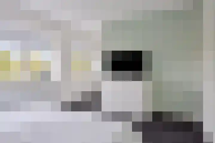 Oostkade 54 Hellevoetsluis thumbnail 43