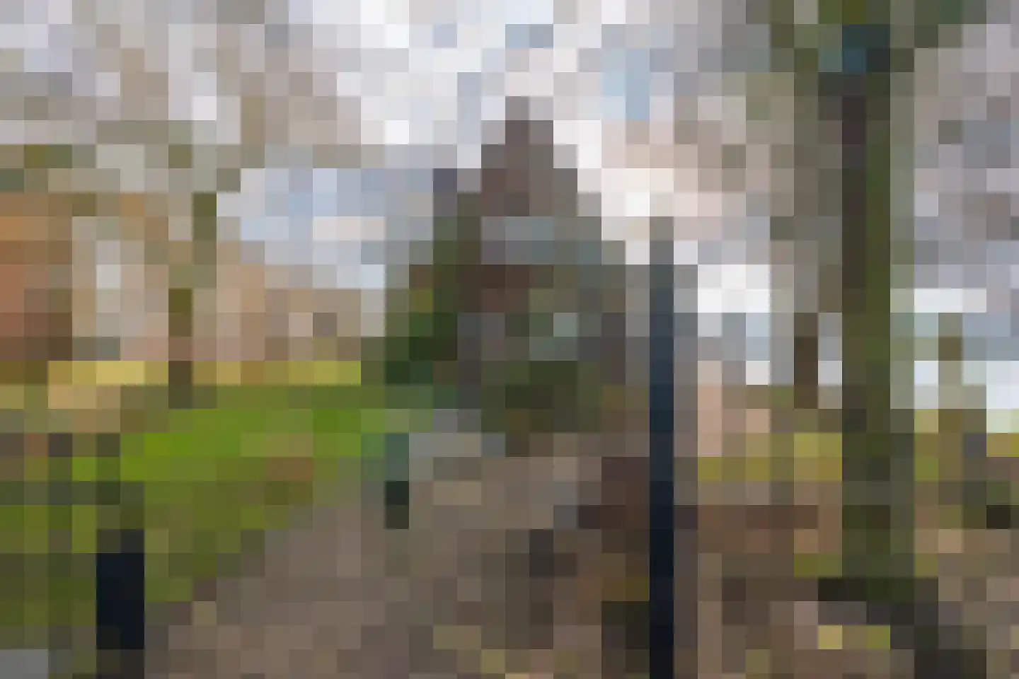 Oostkanaaldijk 1 b Maarssen foto 2