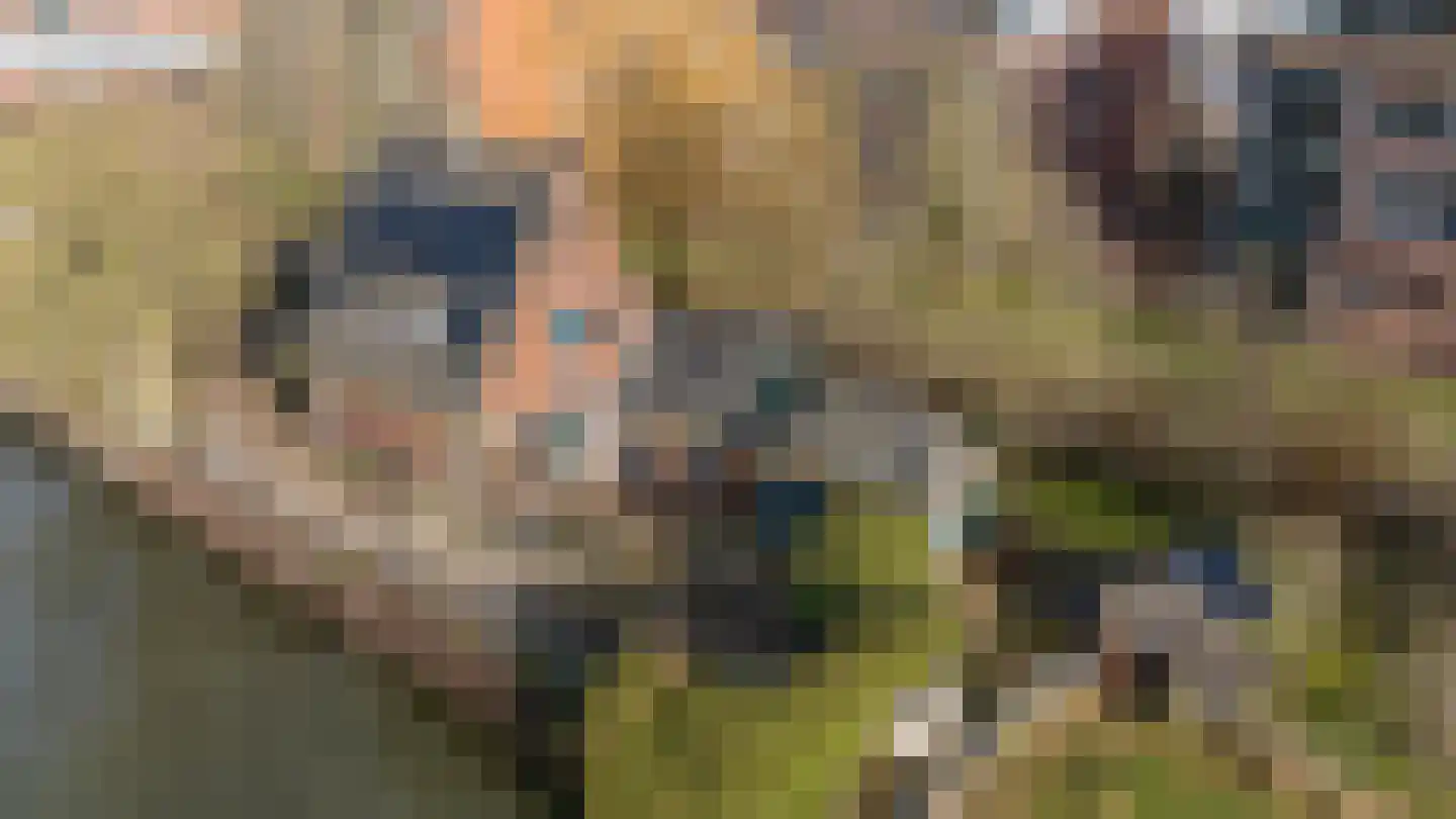 Oostkanaaldijk 1 b Maarssen thumbnail 4