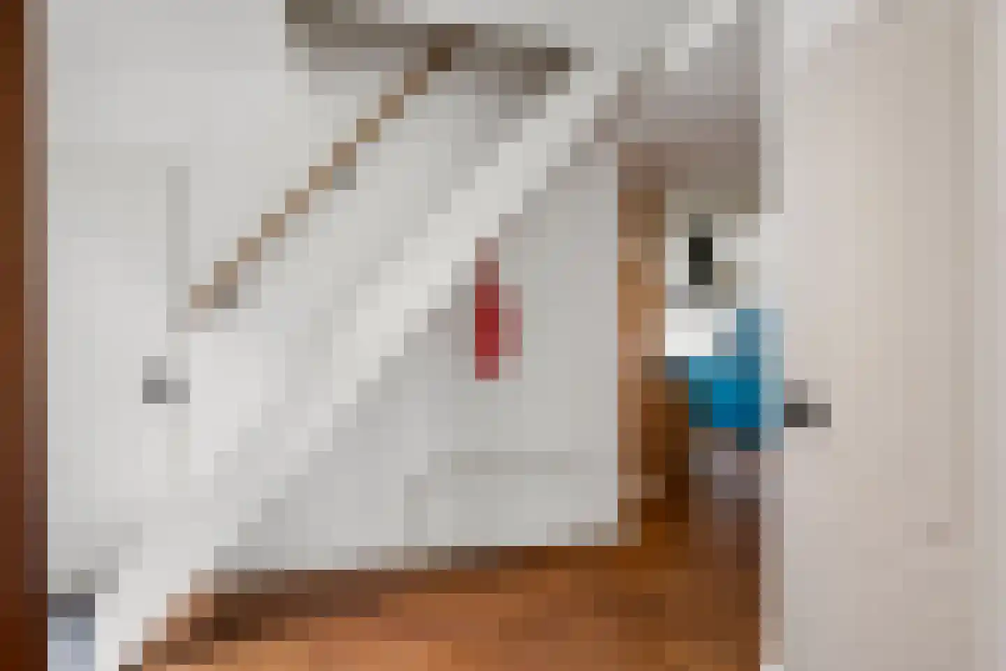 Oostkanaalweg 3 C Aarlanderveen thumbnail 18