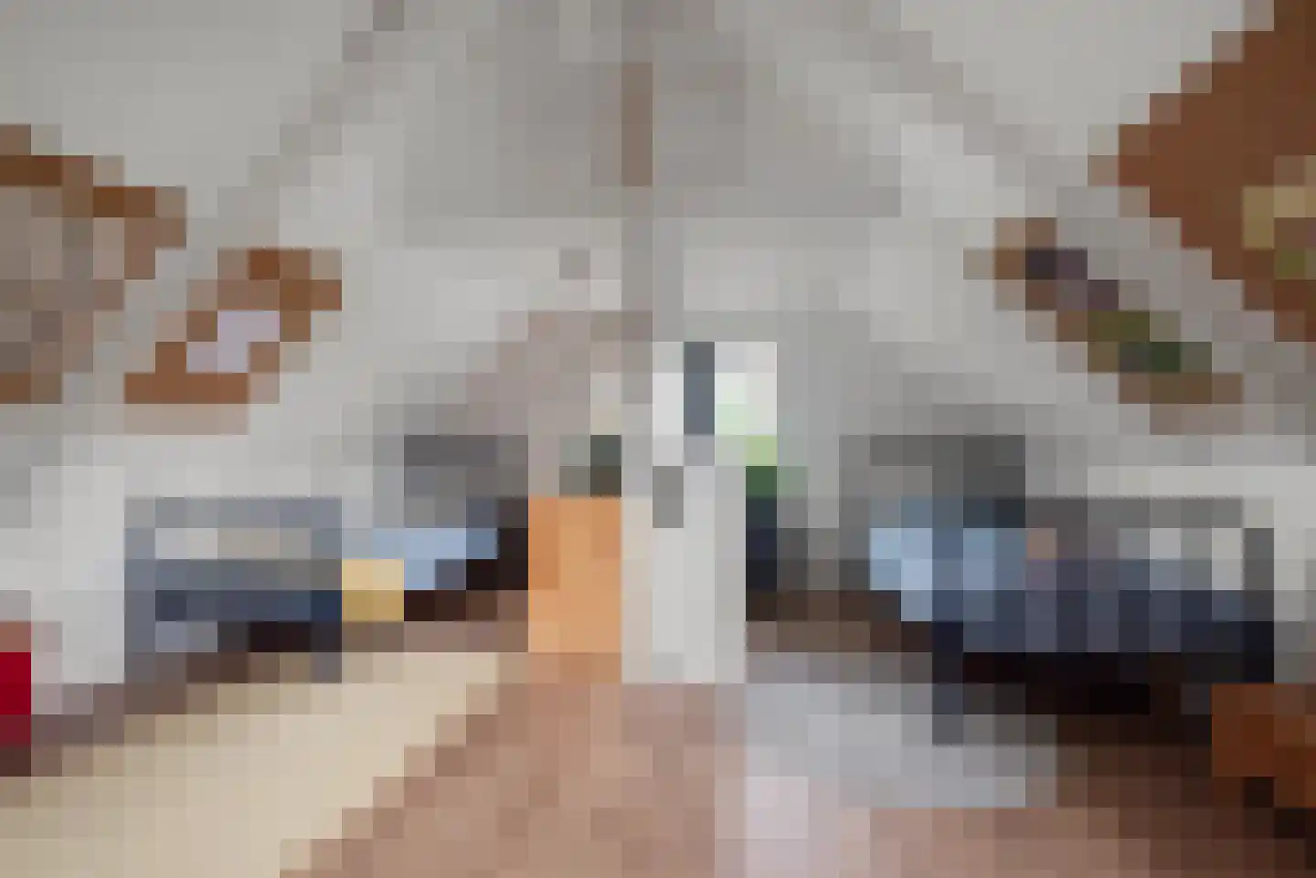 Oostkanaalweg 3 C Aarlanderveen thumbnail 34
