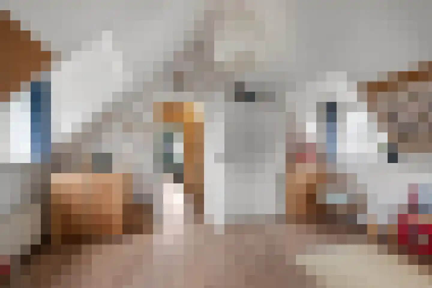 Oostkanaalweg 3 C Aarlanderveen thumbnail 38