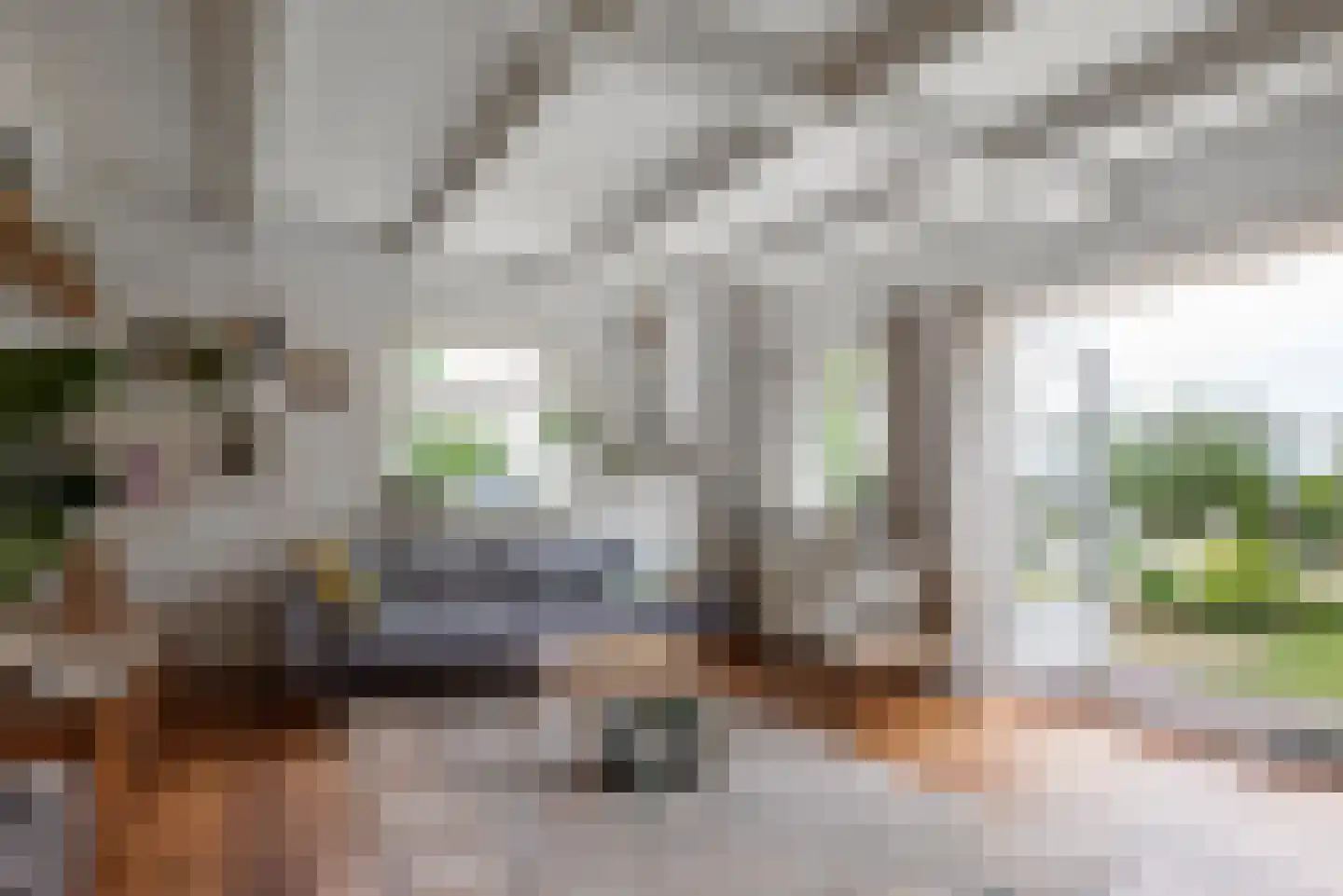 Oostkanaalweg 3 C Aarlanderveen thumbnail 8