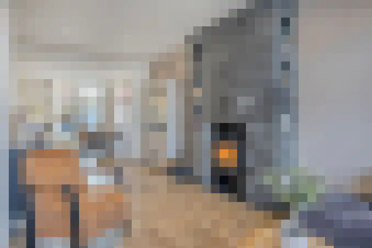 Oostkapelseweg 24 Serooskerke thumbnail 5