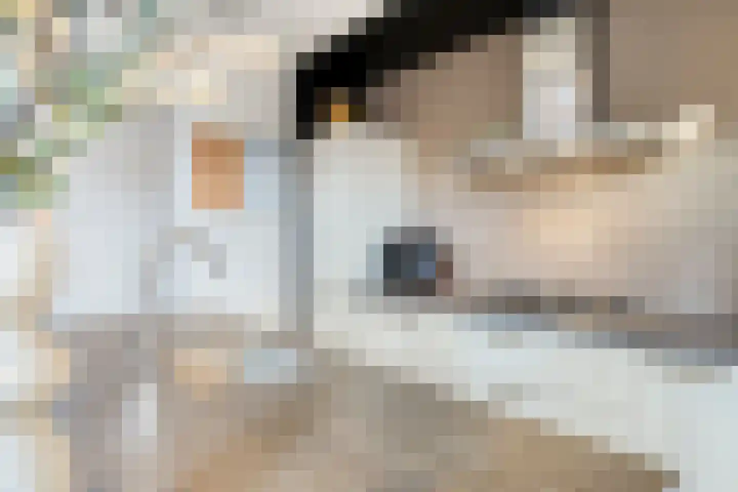 Oostkapelseweg 24 Serooskerke thumbnail 8