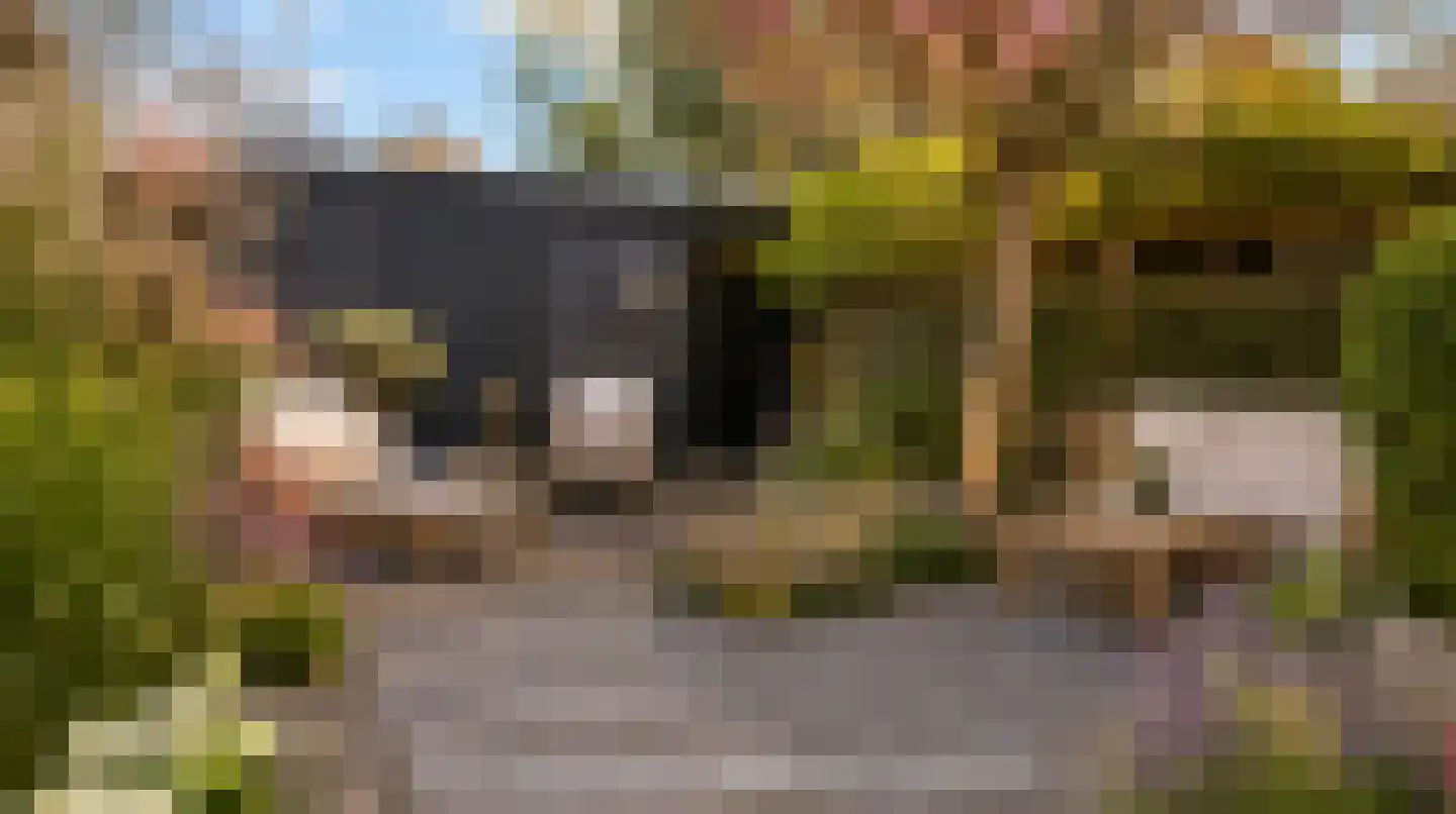 Oostkeetshaven 18 Zwijndrecht thumbnail 16