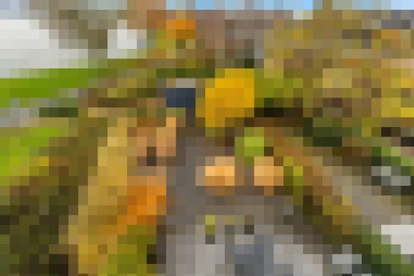Oostkeetshaven 18 Zwijndrecht thumbnail 46