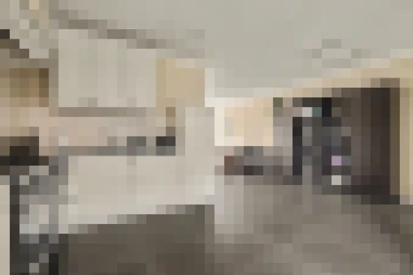 Oostkerkestraat 2 Borssele thumbnail 11