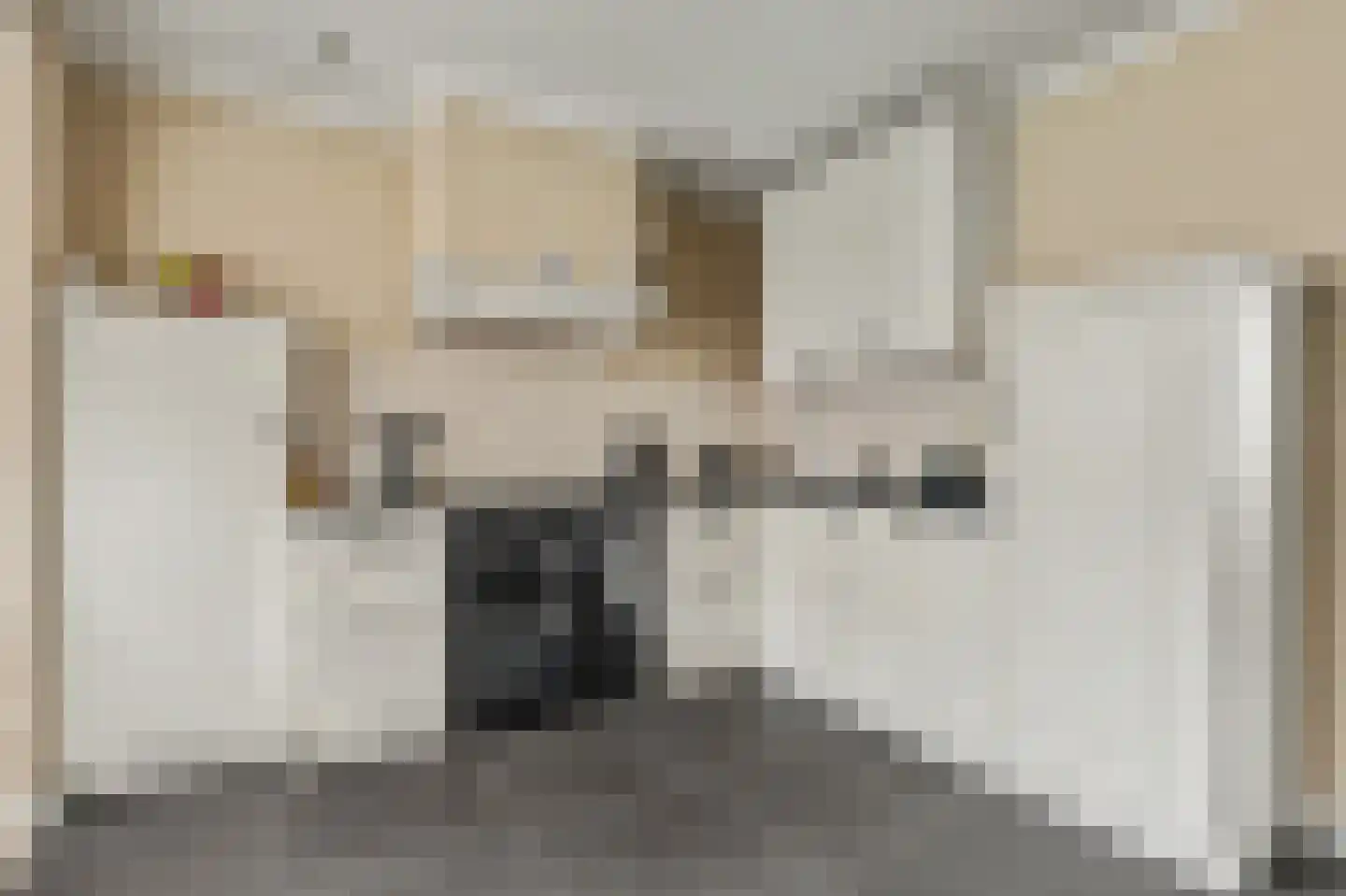 Oostkerkestraat 2 Borssele thumbnail 12