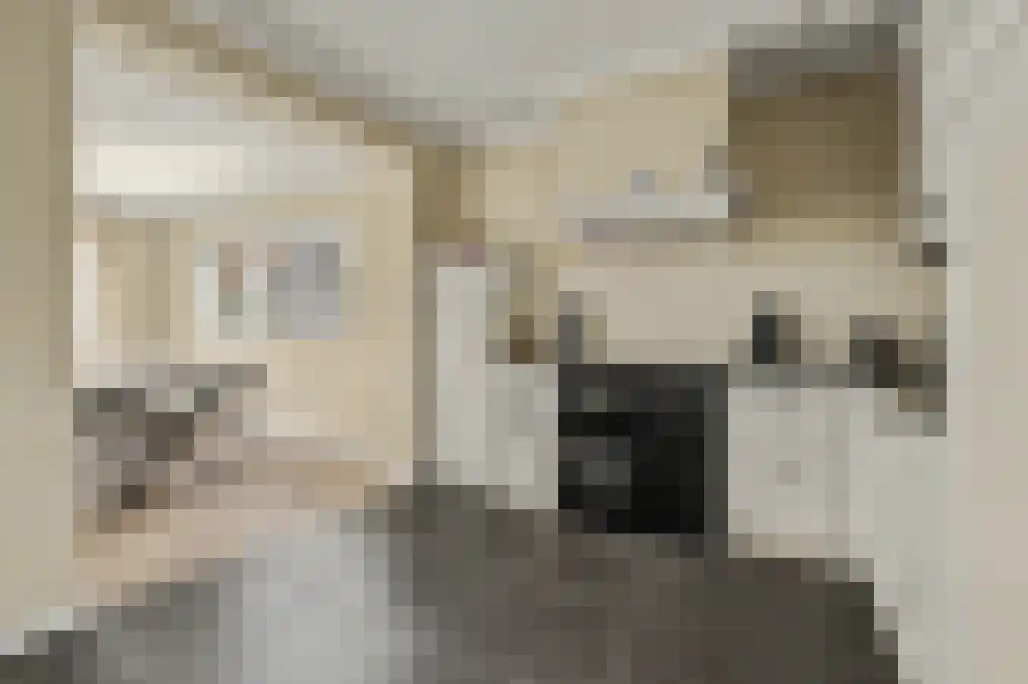 Oostkerkestraat 2 Borssele thumbnail 14