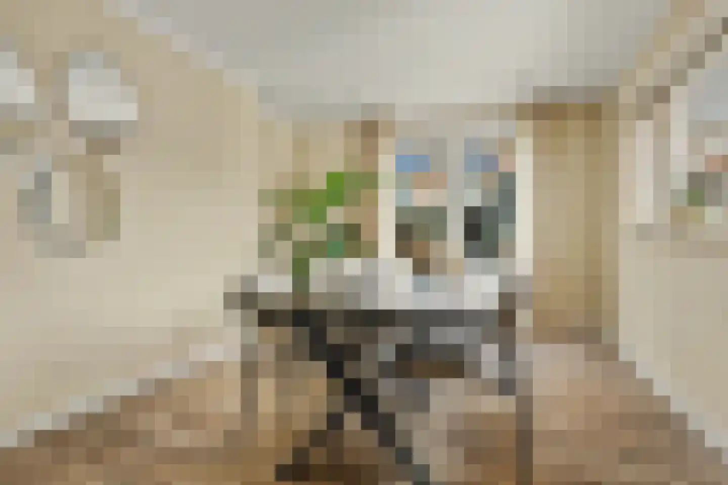 Oostkerkestraat 2 Borssele thumbnail 15