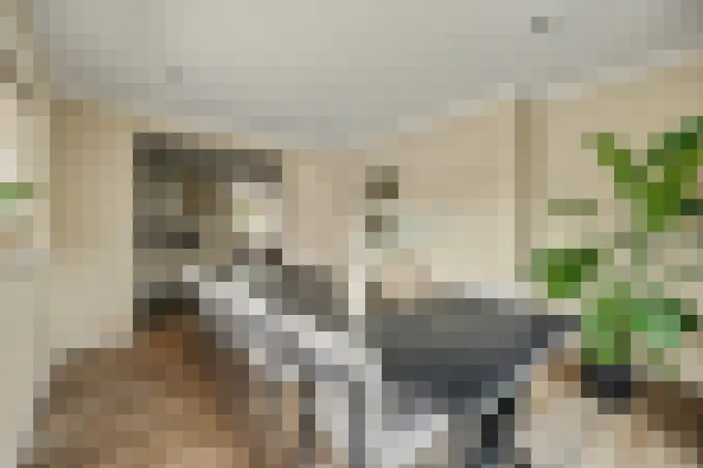 Oostkerkestraat 2 Borssele thumbnail 16