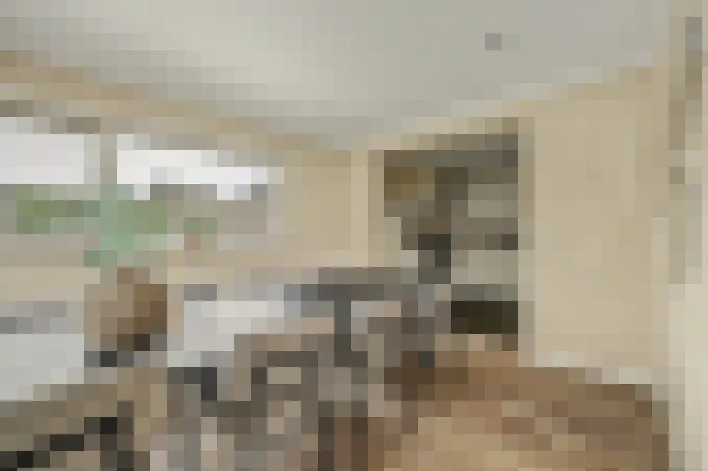 Oostkerkestraat 2 Borssele thumbnail 17