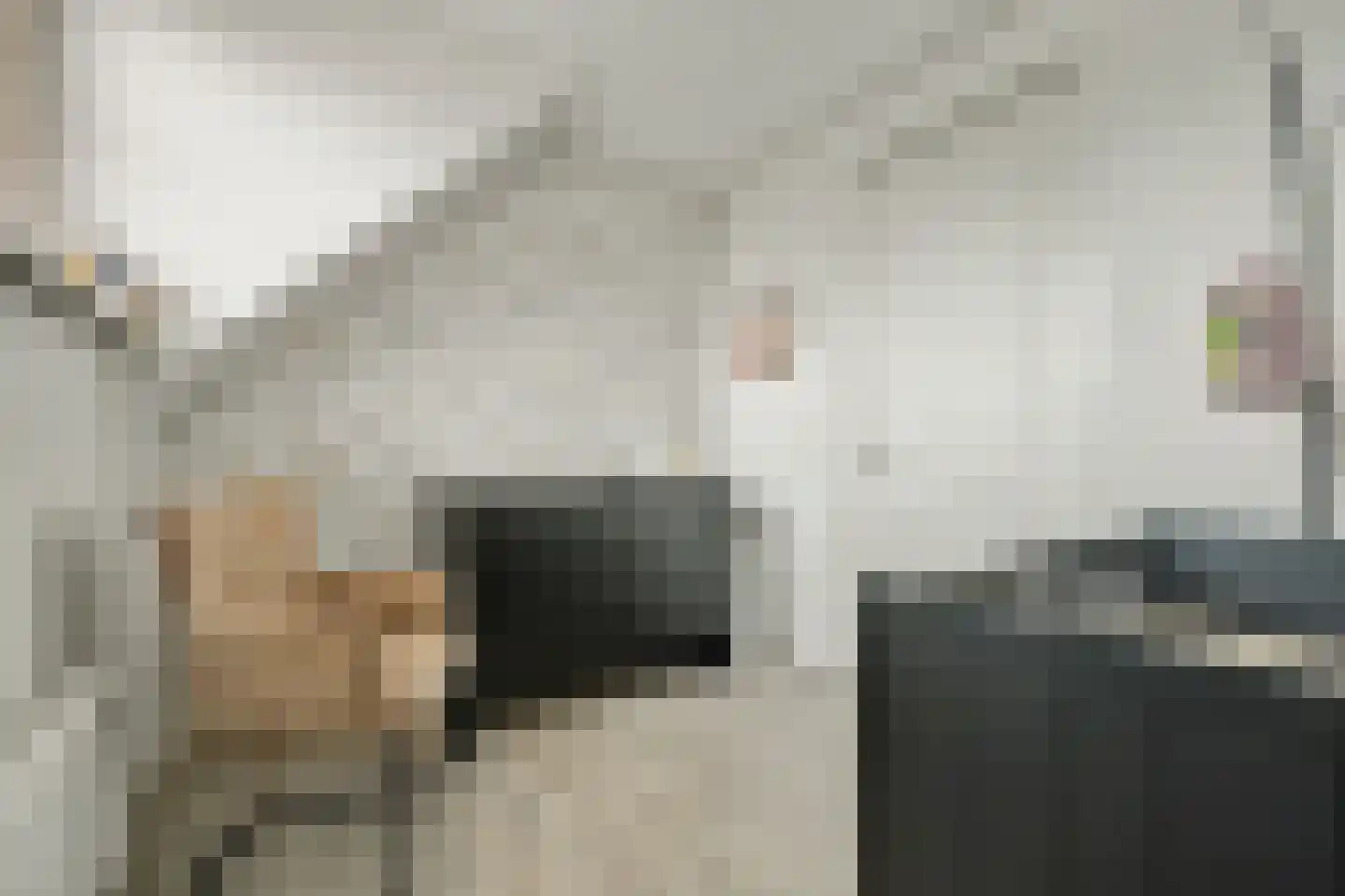 Oostkerkestraat 2 Borssele thumbnail 26