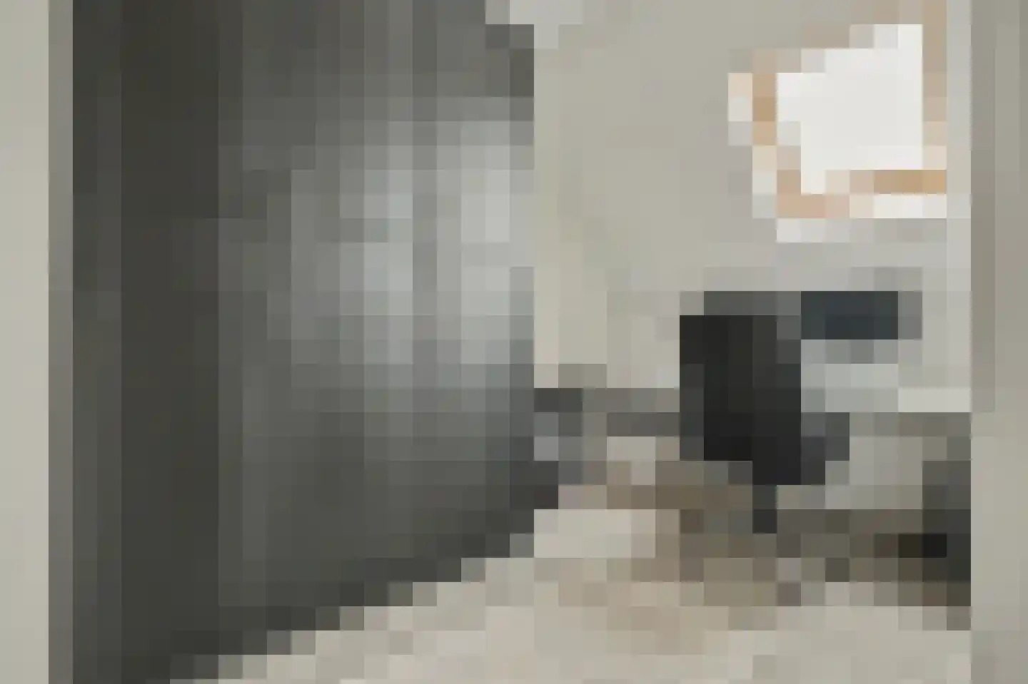 Oostkerkestraat 2 Borssele thumbnail 28