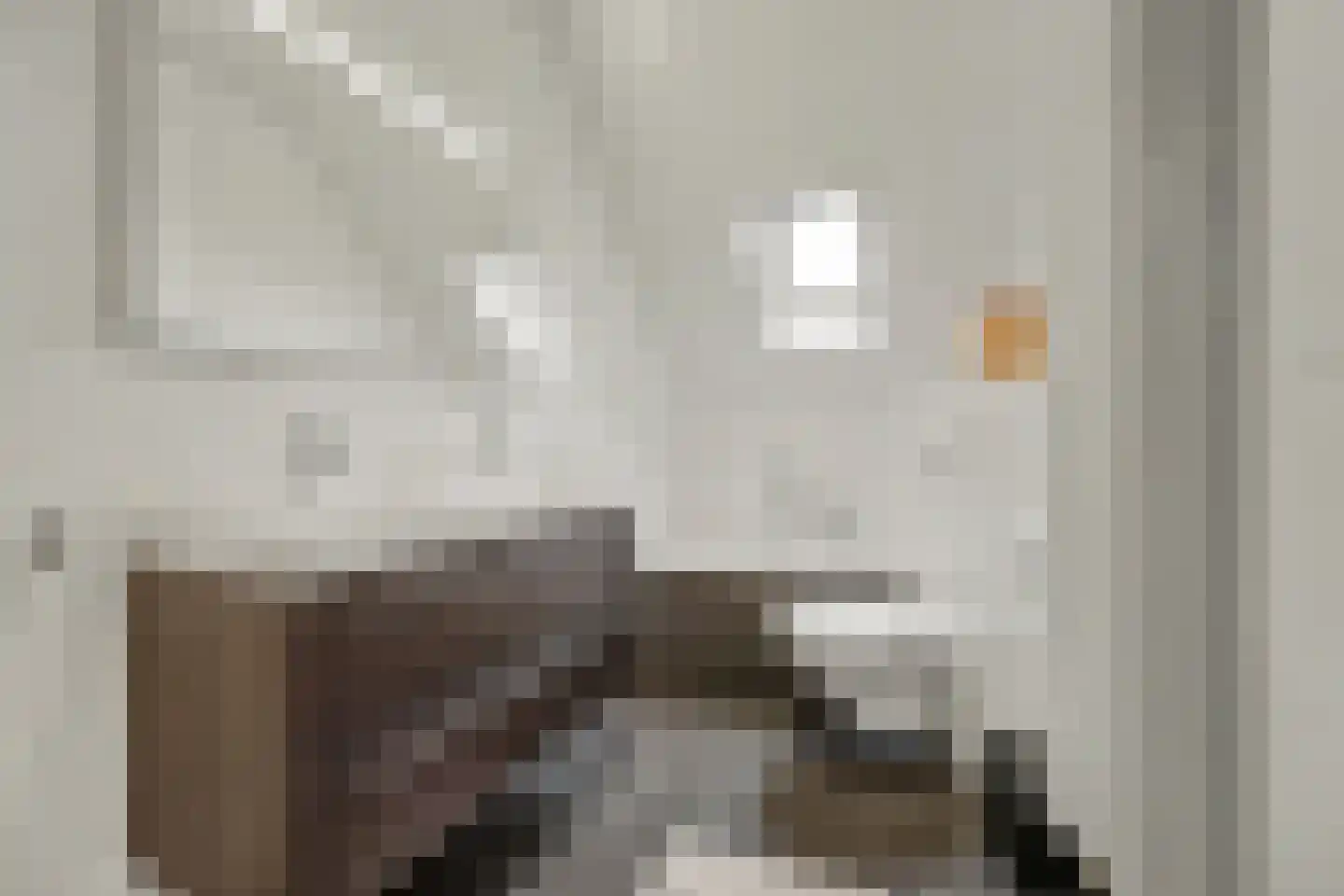 Oostkerkestraat 2 Borssele thumbnail 30