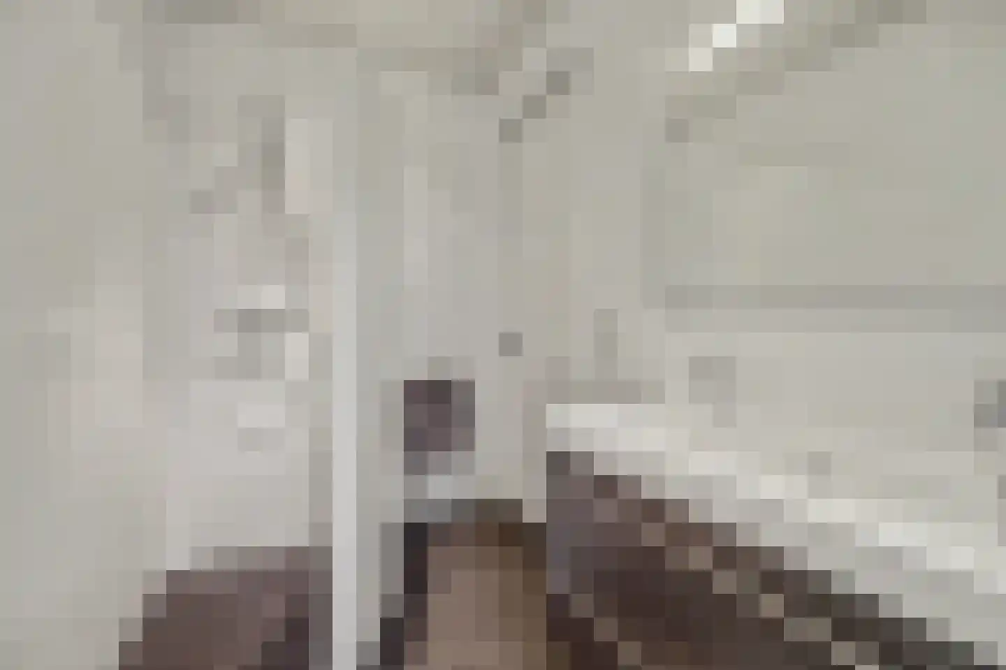 Oostkerkestraat 2 Borssele thumbnail 31