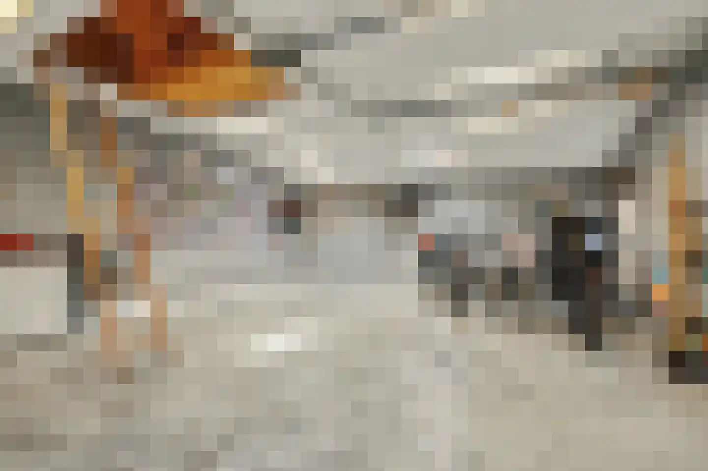Oostkerkestraat 2 Borssele thumbnail 41