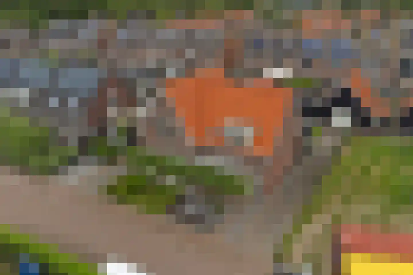 Oostkerkestraat 2 Borssele thumbnail 43