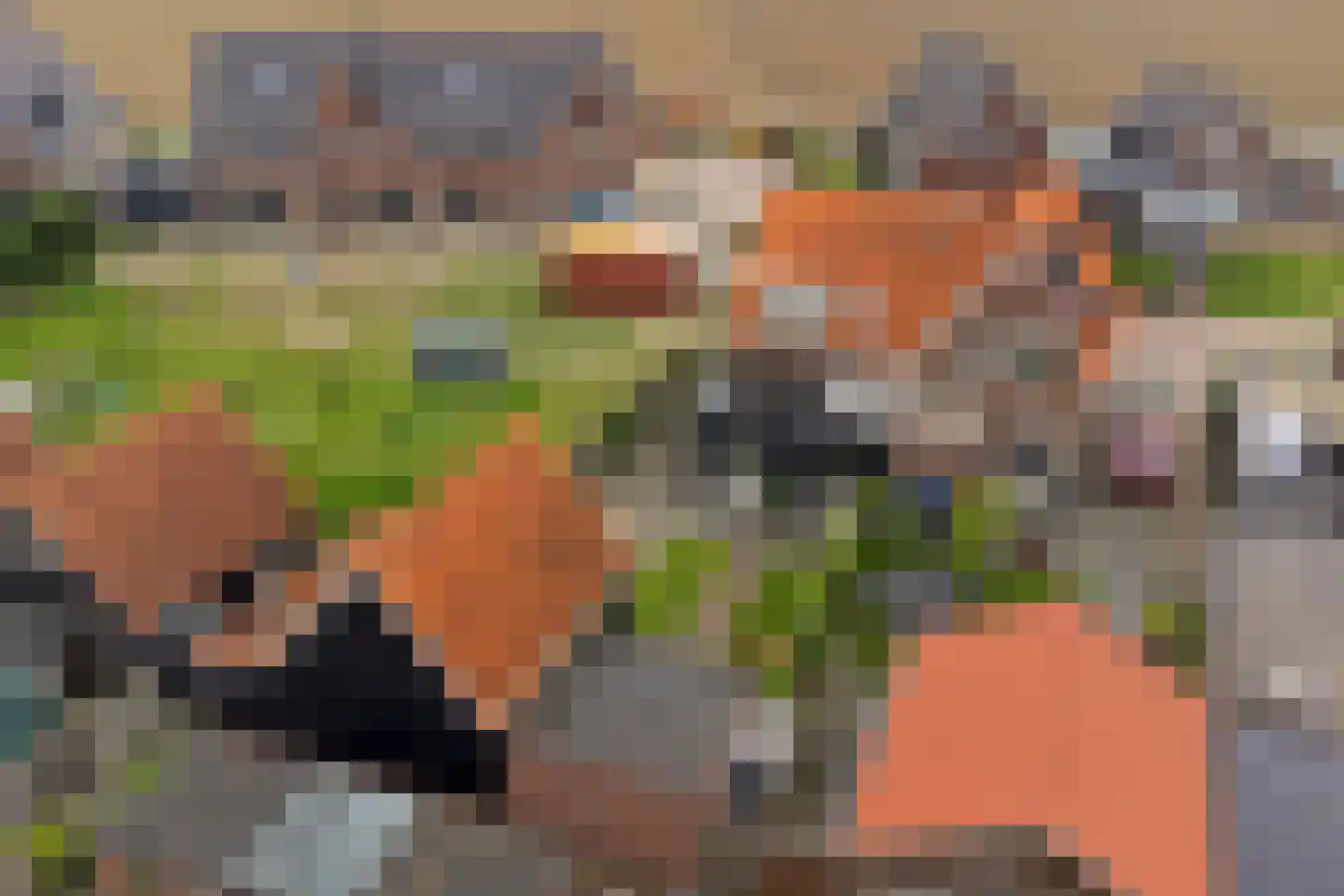 Oostkerkestraat 2 Borssele thumbnail 46