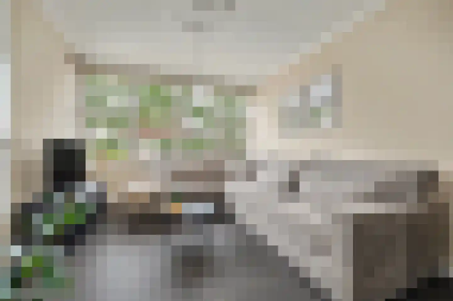 Oostkerkestraat 2 Borssele thumbnail 5
