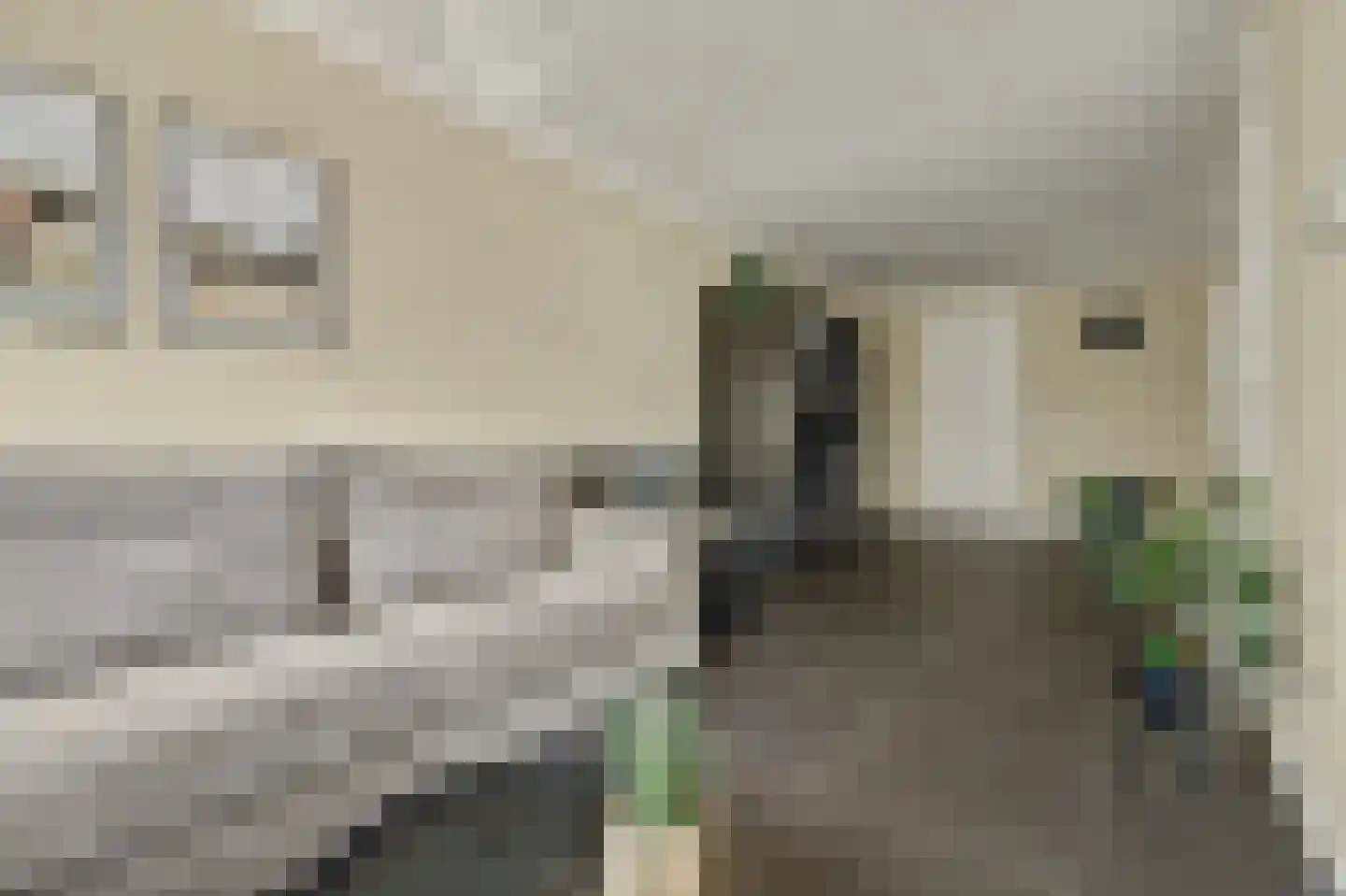 Oostkerkestraat 2 Borssele thumbnail 8