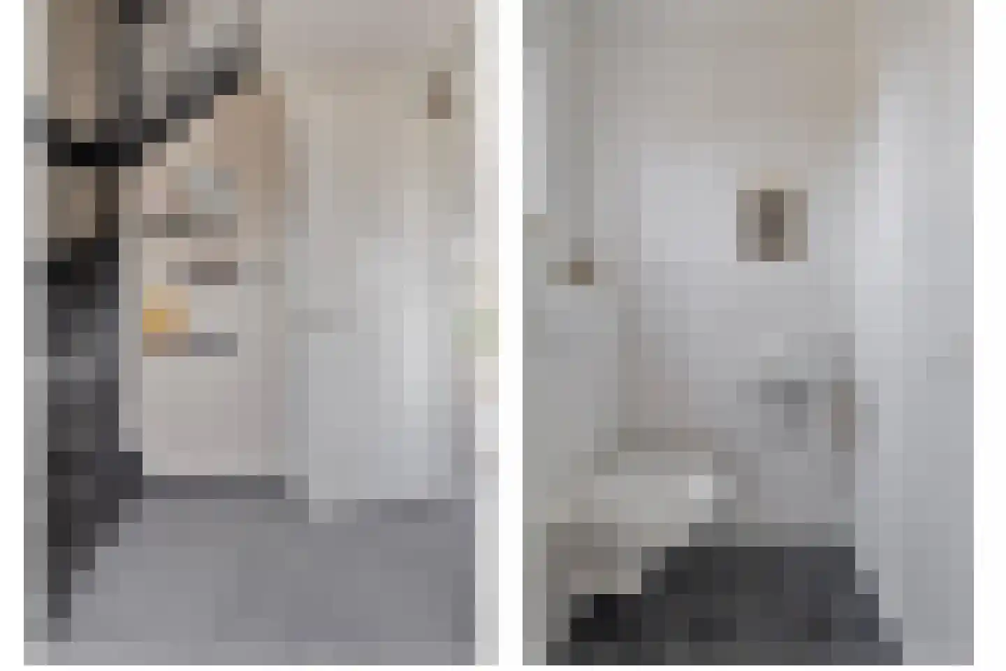 Oostkerkestraat 8 Borssele thumbnail 12