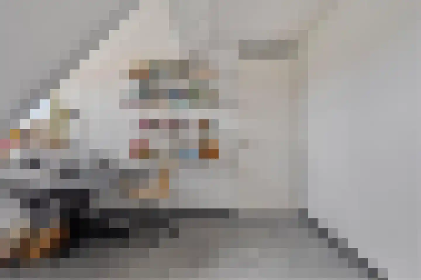 Oostkerkestraat 8 Borssele thumbnail 18