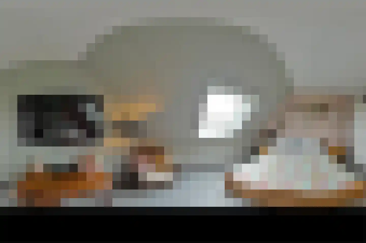 Oostkerkestraat 8 Borssele thumbnail 32