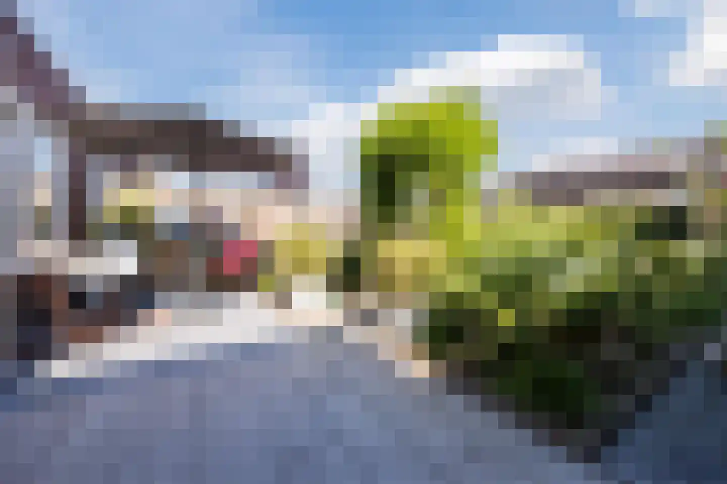 Oostkerkestraat 8 Borssele thumbnail 37