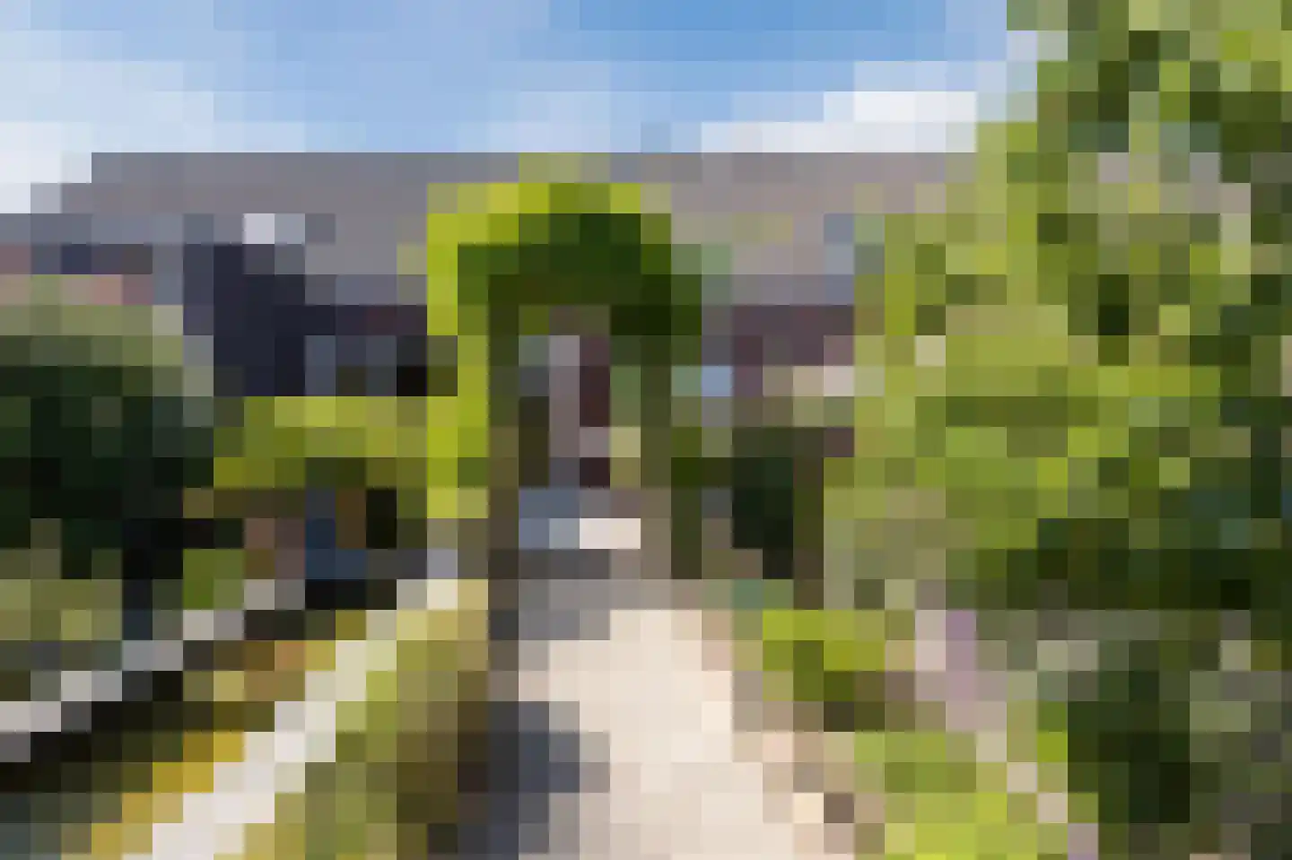 Oostkerkestraat 8 Borssele thumbnail 42