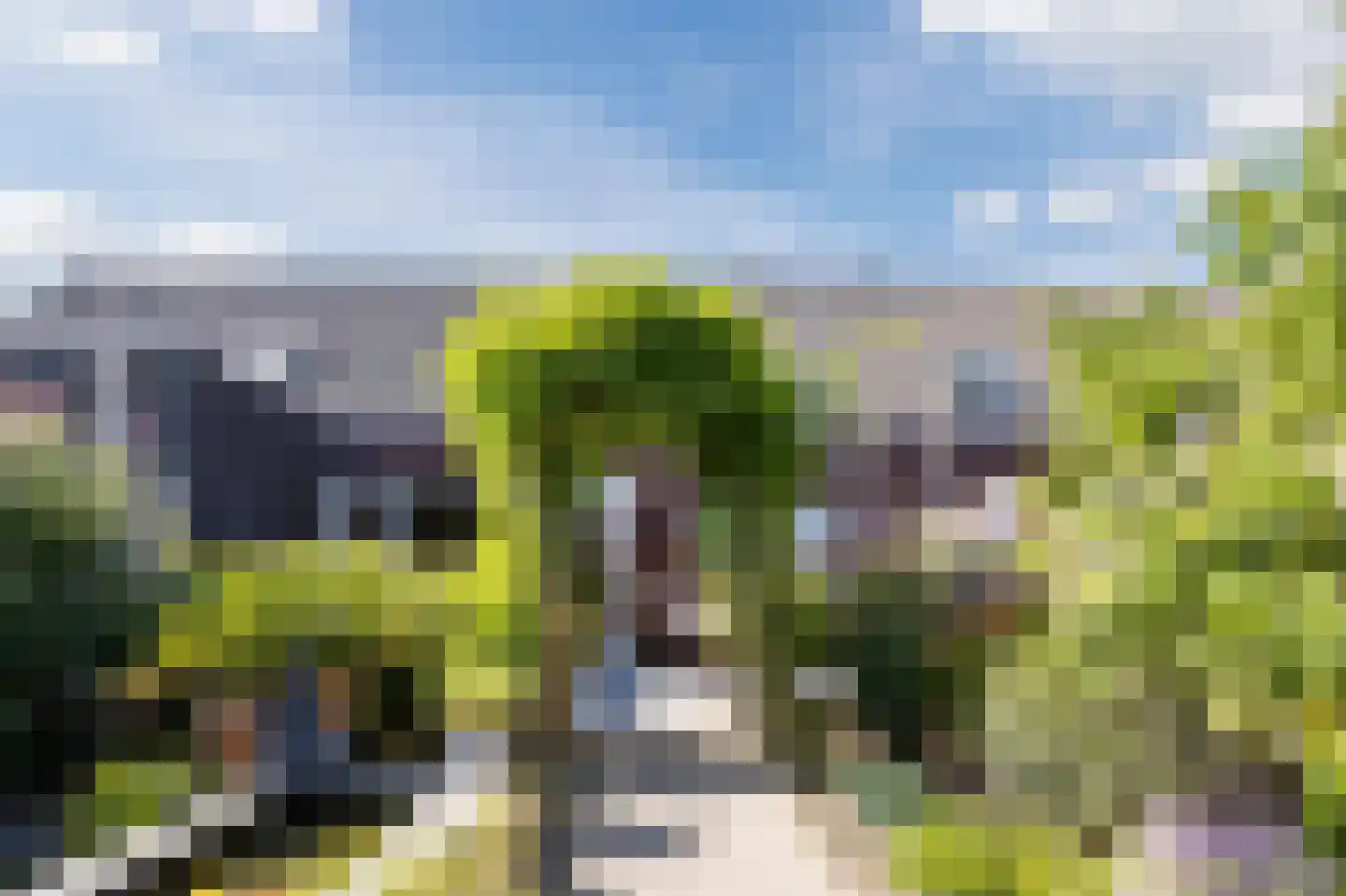 Oostkerkestraat 8 Borssele thumbnail 43