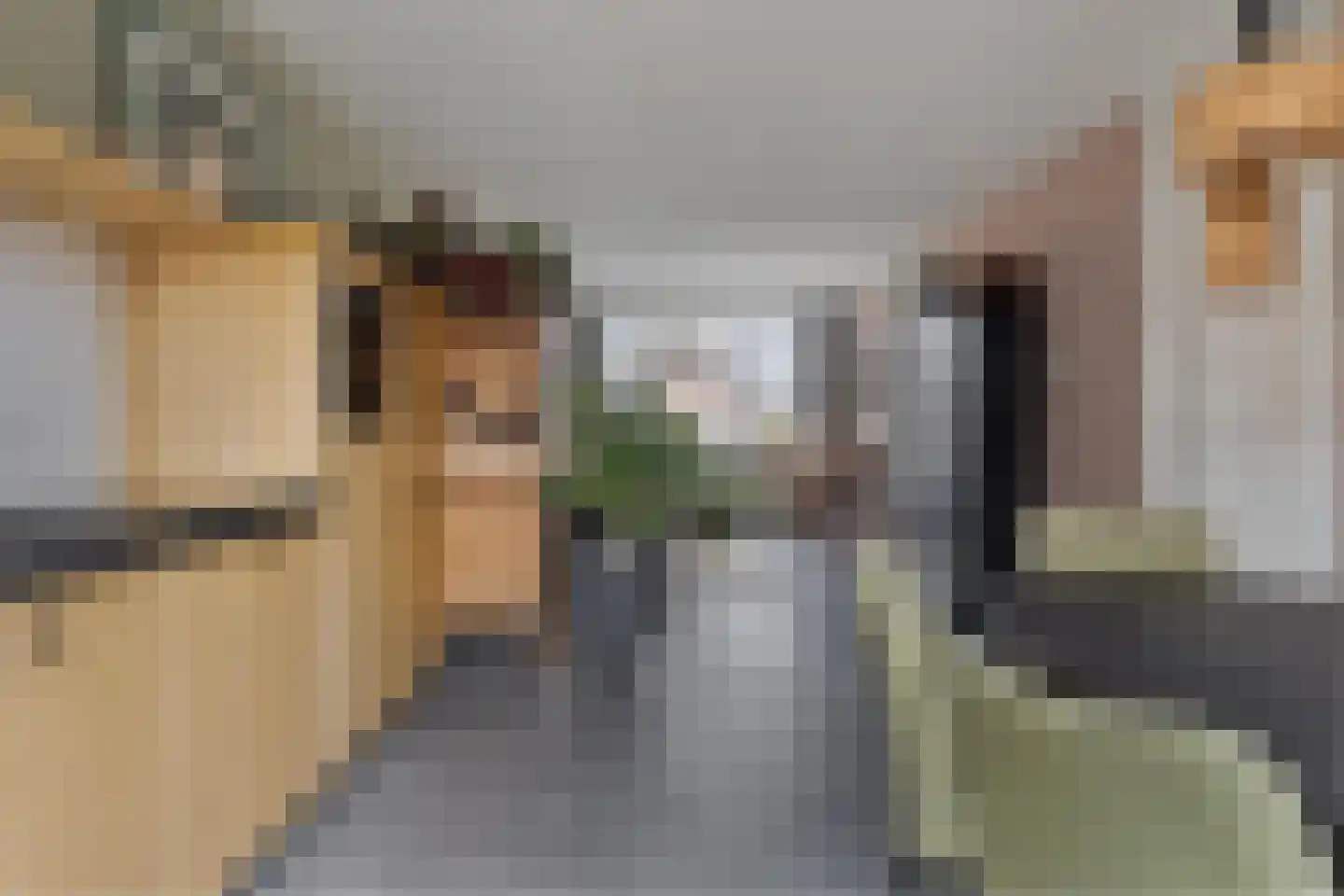 Oostkerkestraat 8 Borssele thumbnail 5