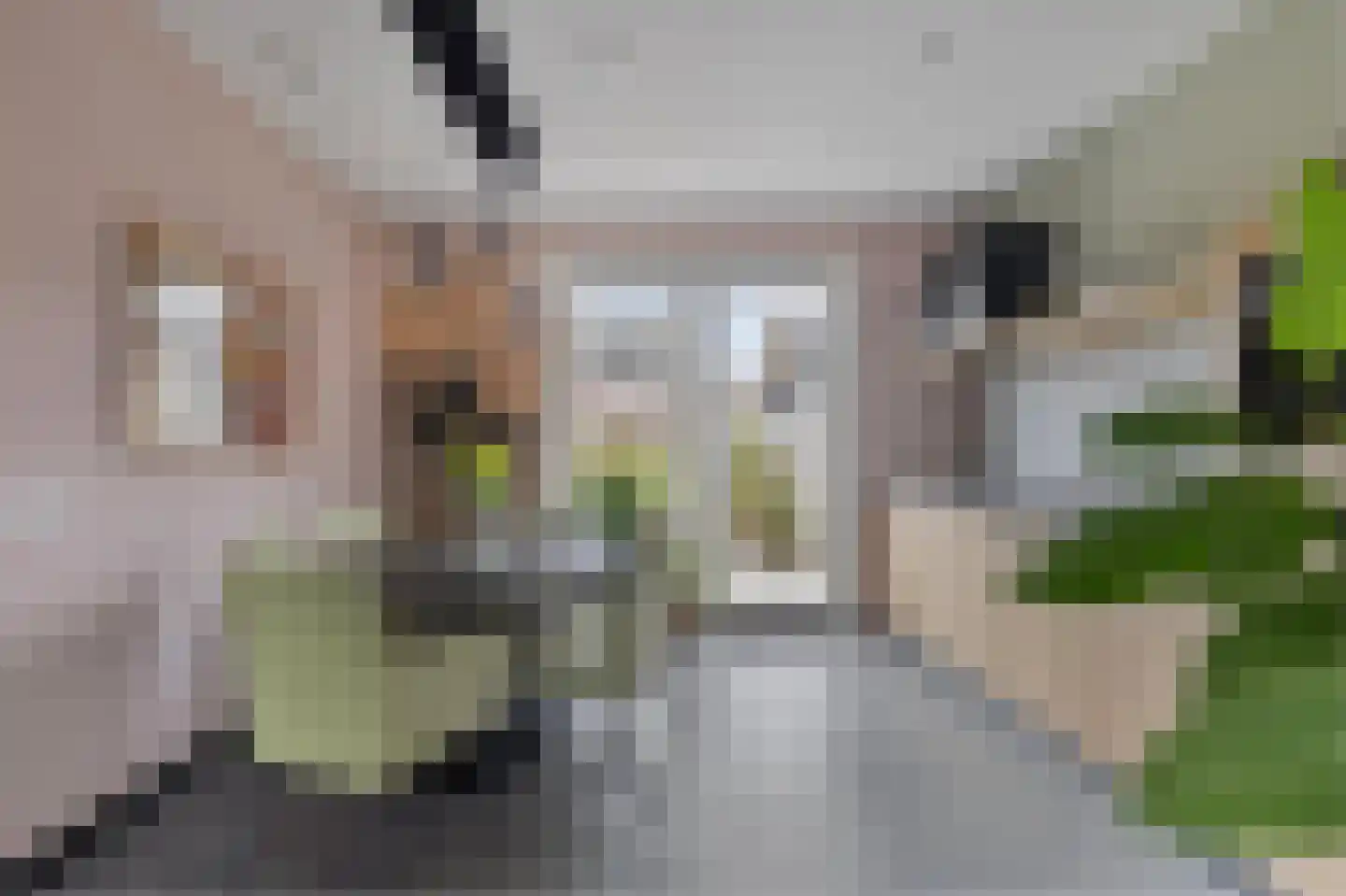 Oostkerkestraat 8 Borssele thumbnail 6