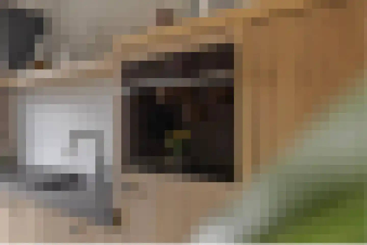Oostkerkestraat 8 Borssele thumbnail 8